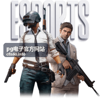 pg电子官方网站 新手入门攻略